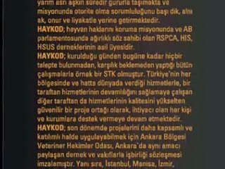 HAYKOD HAYVANLARI KORUMA DERNEGI