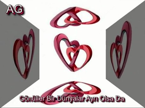 Zerrin Özer - Giden Gitti