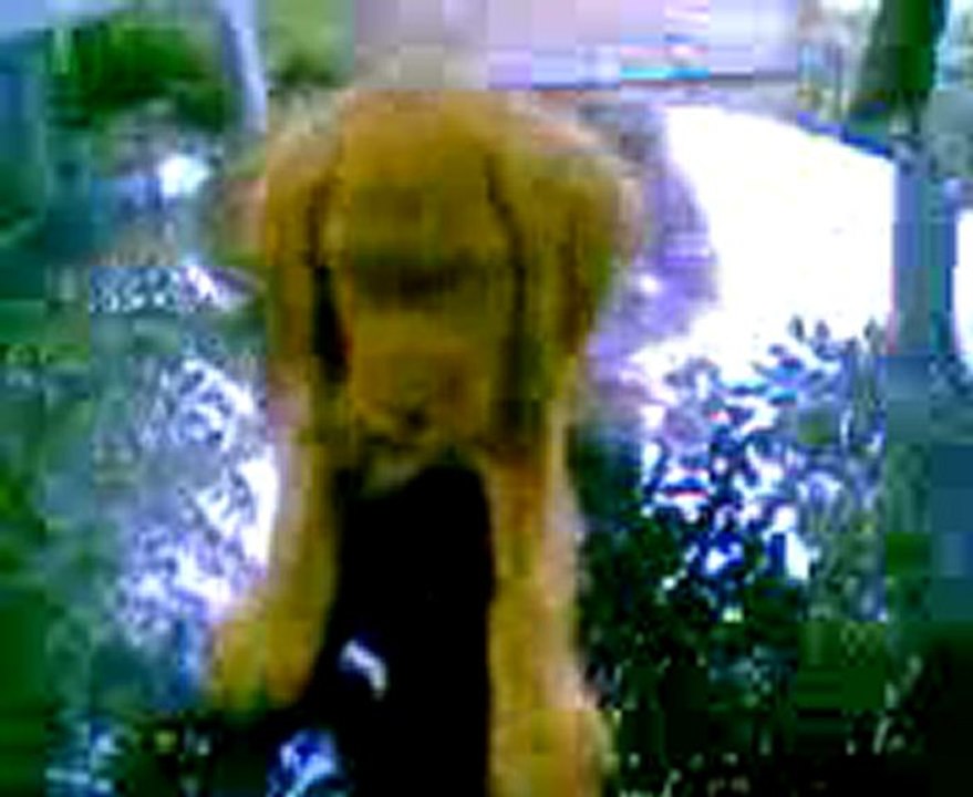 Video0002