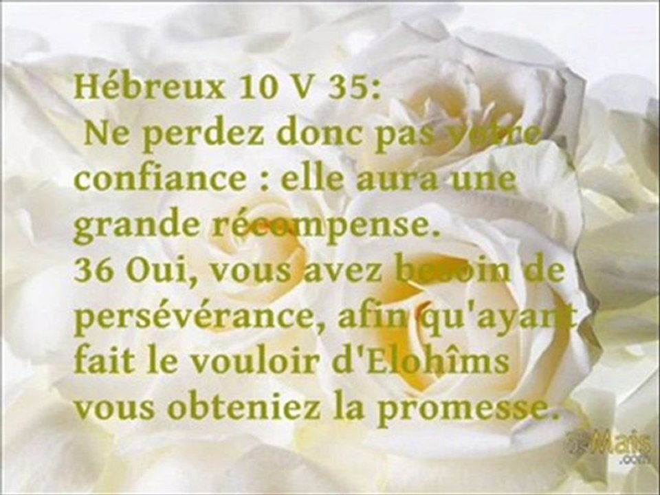 La bonne côte pour l'homme .?.?.?.