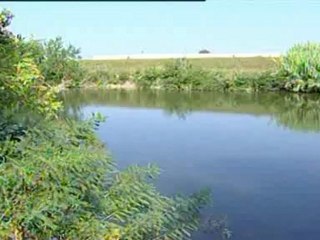 cocaina e hashish quattro arresti