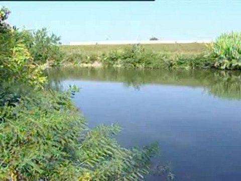 cocaina e hashish quattro arresti