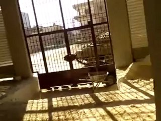 Syria فري برس درعا المحطة محاصرة الدبابات لطريق السد 23 7 2012 Daraa