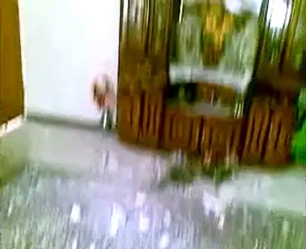 Syria فري برس درعا البلد حي العباسية اثار الدمار نتيجة القصف 2012 7 23 ج1 Daraa