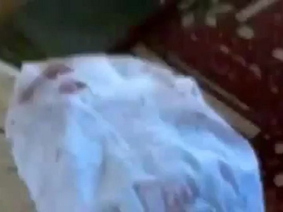 Syria فري برس درعا خربة غزالة   آثار الدمار الذي خلفه القصف المدفعي   الاثنين 23 7 2012 جـ3 Daraa