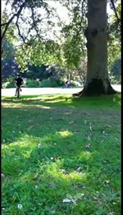 VTT