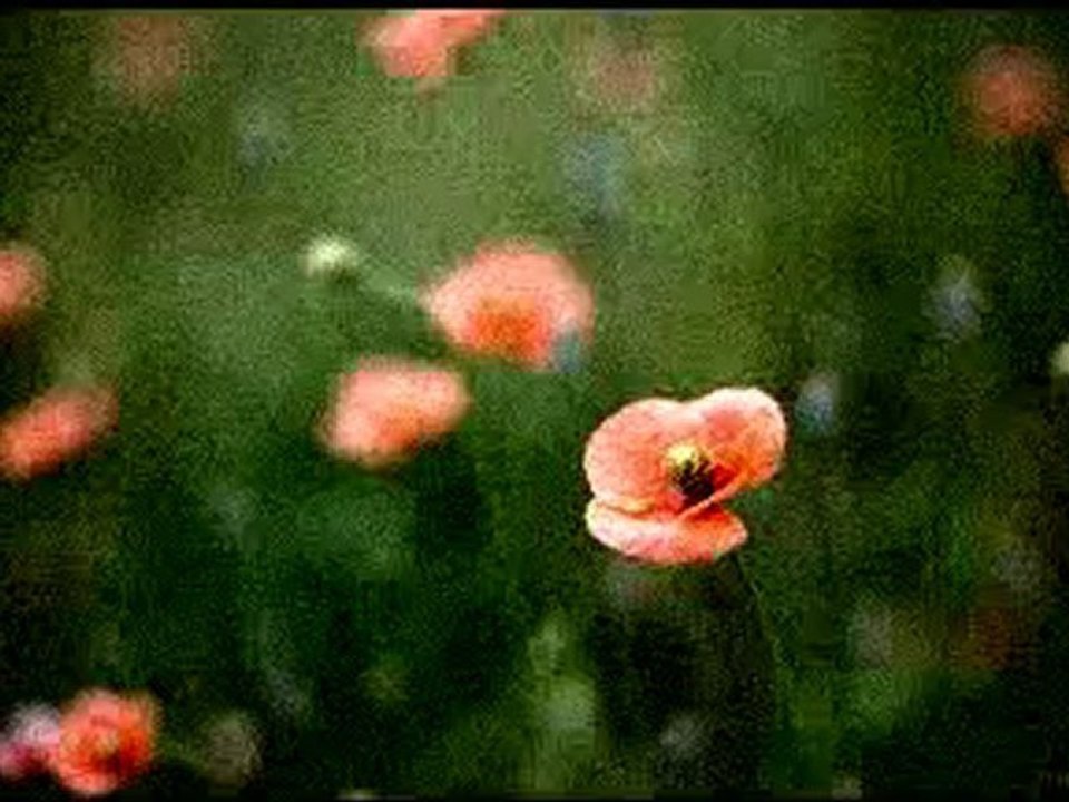 Dies ist das fünfte Video über Rock #5