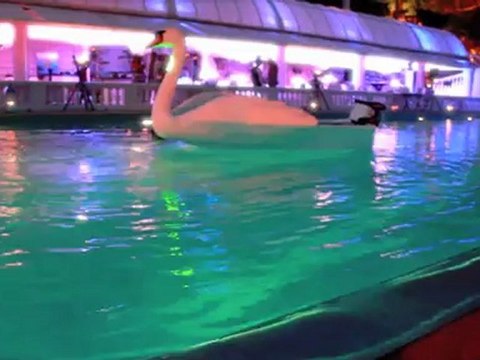 International Talent Agency for your events worldwide