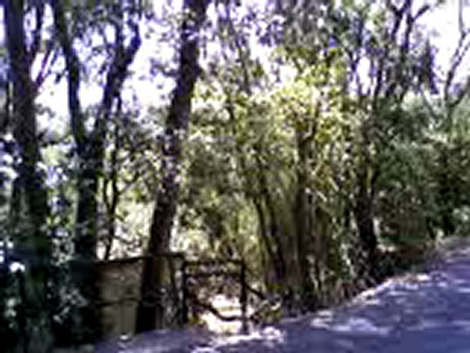 Ballade vers Sorèdes (P.O)