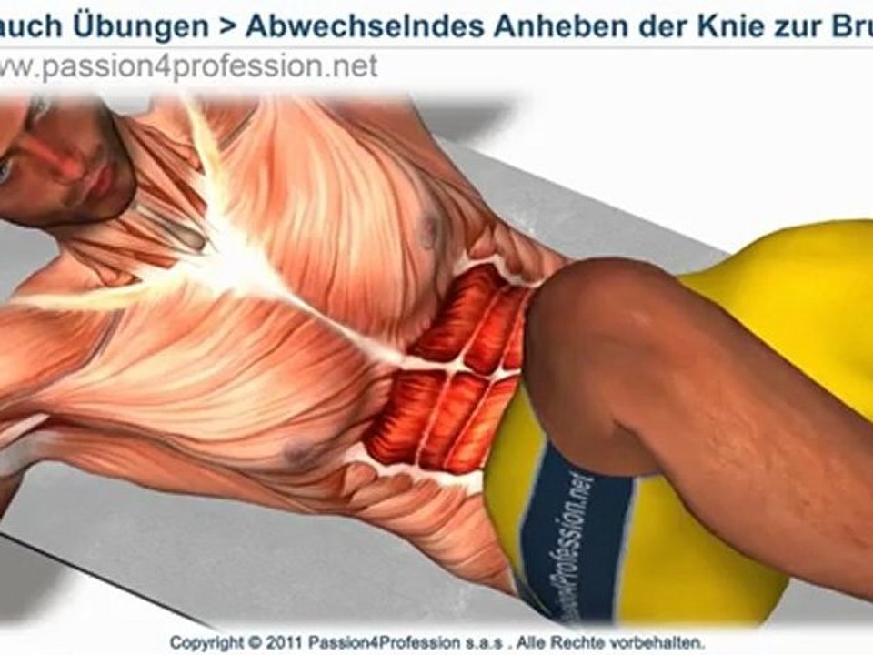 Abwechselndes Anheben der Knie zur Brust