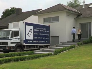 Pleisterwerken Aalst Meerschaut