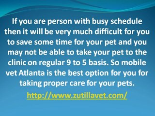 Keep your pet healthy with the help of mobile veterinarian