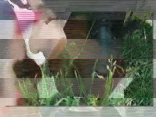 Фатмагюл  Хей, Керим Танцувай, Ти Сега С Мене!