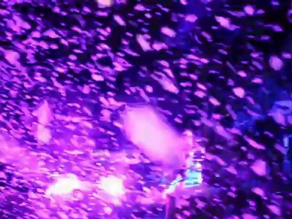 Vague de froid SoonNight 2012