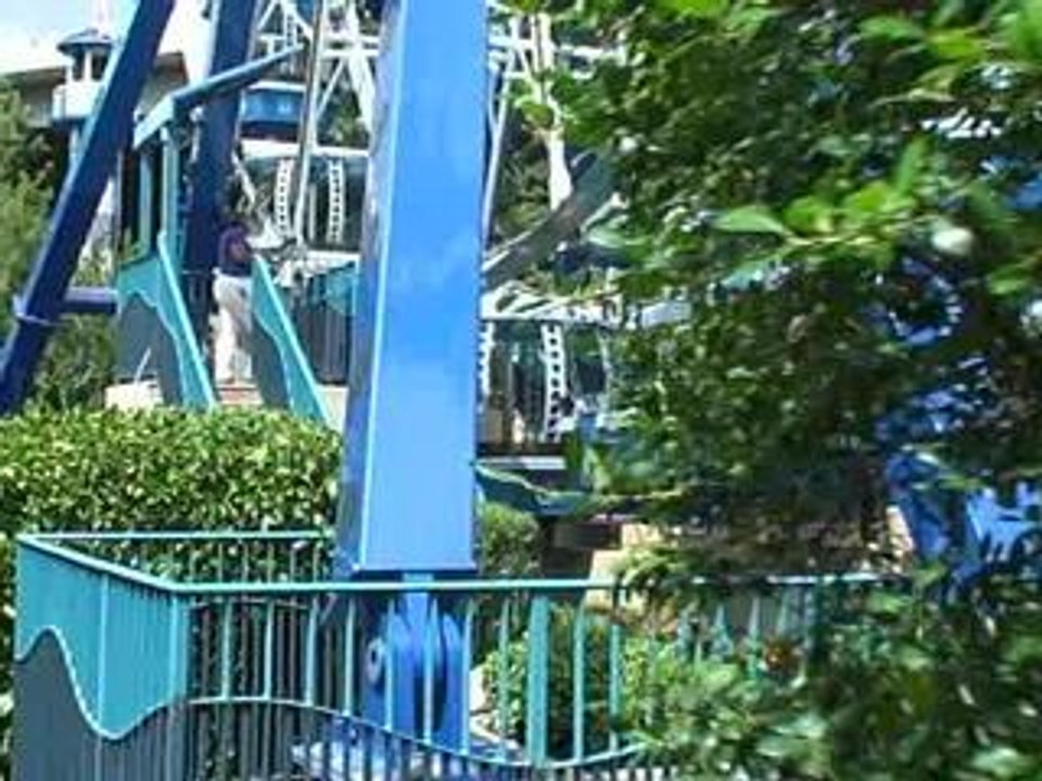 Shark Voyage