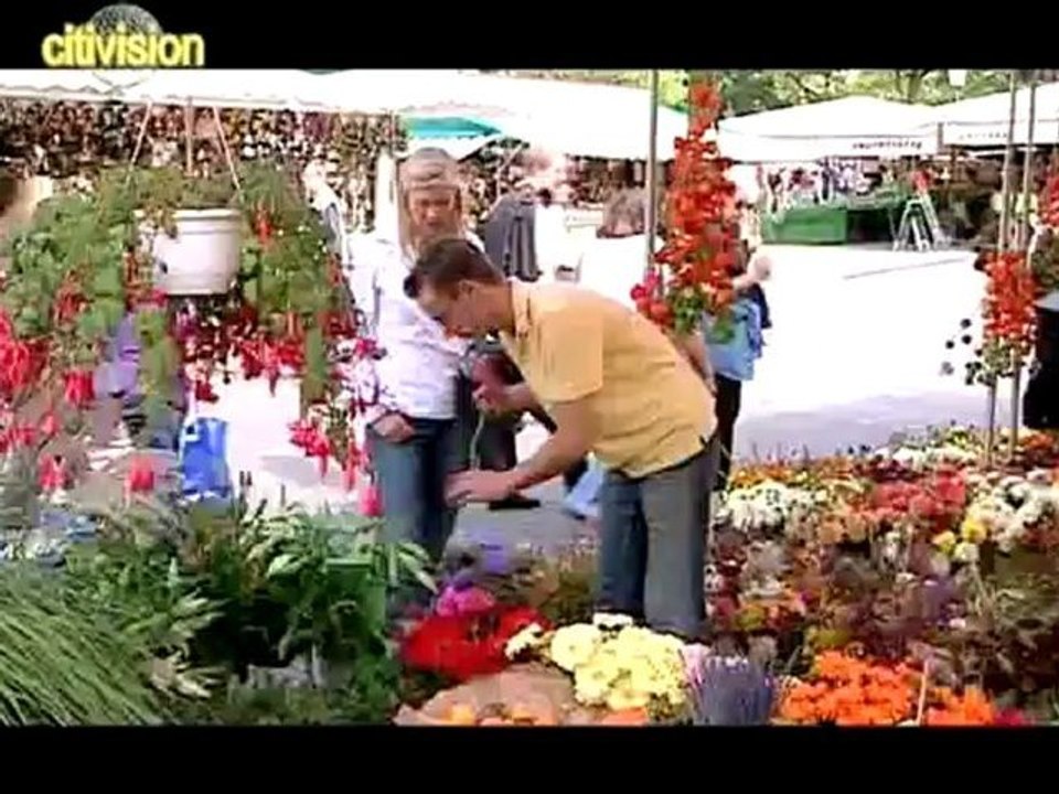 München / Munich - citivision (2/9)