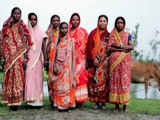 Al Jazeera Frames - The Seed