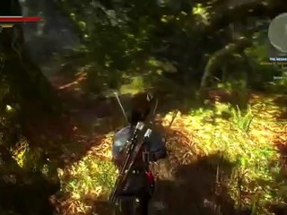 [S4][P5] The Witcher 2