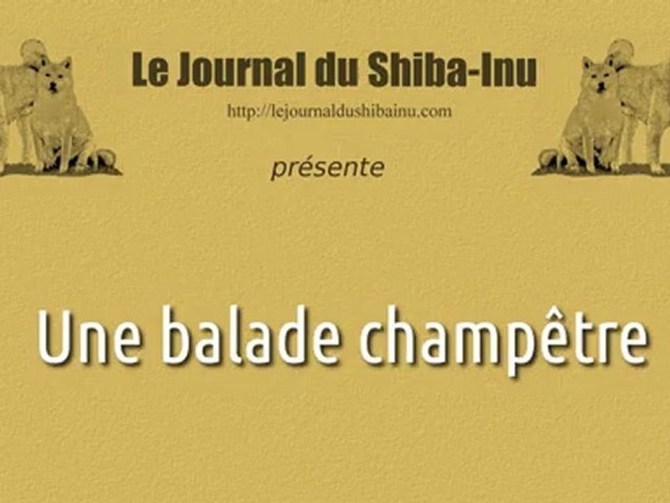 Une balade champêtre