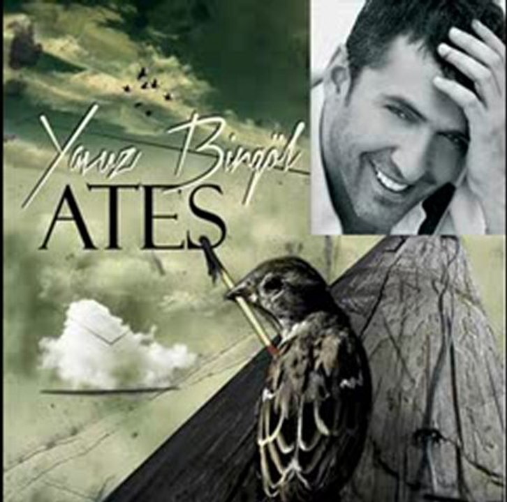 Yavuz  Bingöl      "Bahçada  yeşilçınar "