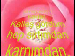 Ömer   Danış    "MANOLYA "