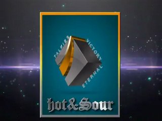 HOT N SOUR ENTERTAINMENT COMPANY LOGO