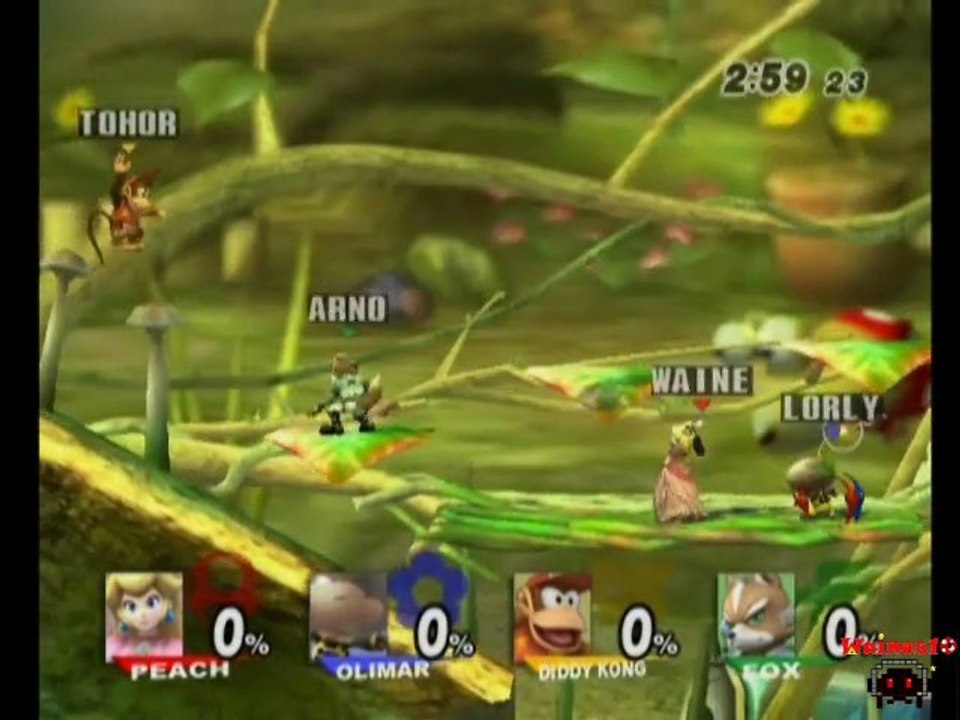 Détente sur Super Smash Bros Brawl Partie 1