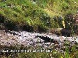 Les Immanquables - Mégavalanche VTT à l' Alpe d' Huez