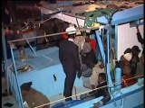 SICILIA TV FAVARA - Lampedusa. Scoperti 25 cadaveri a bordo di un barcone