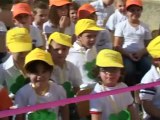 SICILIA (Favara) Scuola Don Bosco di Favara. Piantato albero di Ulivo