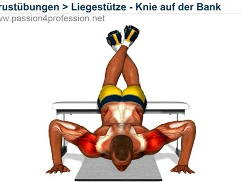 Liegestutze - Knie auf der Bank