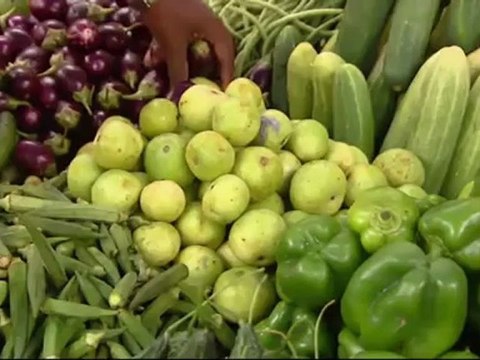 Counting the Cost - The cost of climate change