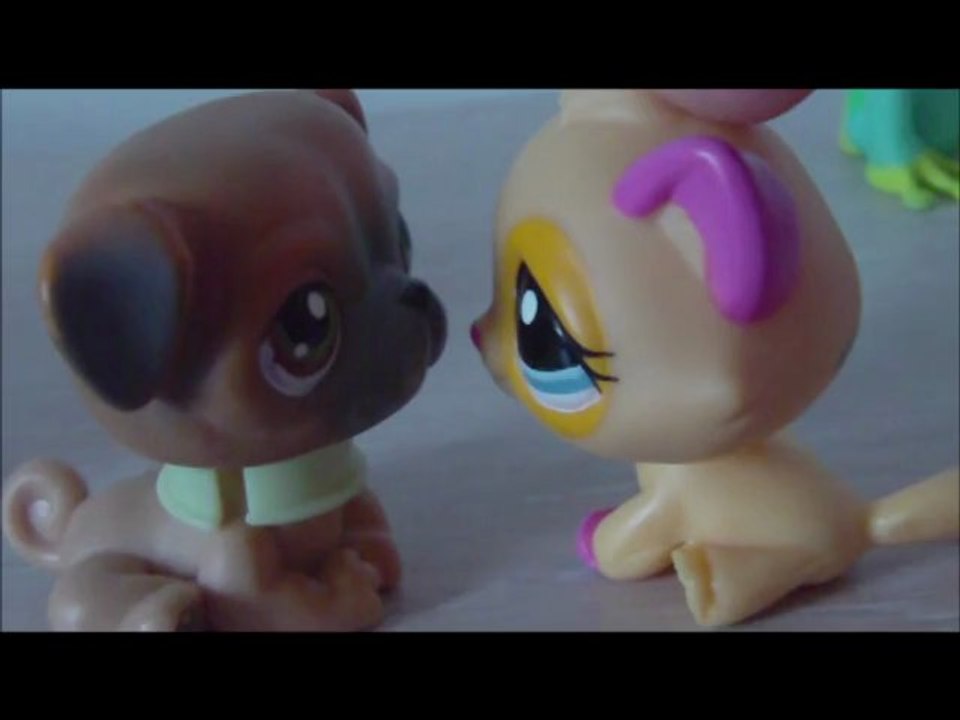 petshop épisode 3 saison 3