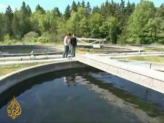 Canada fish farm revives rare delicacy