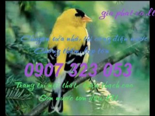 Sua,chua,dien,nuoc,tai quan 7,8,9 call 0907 323 053