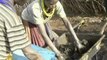 Biogas come to the help of Ugandan cattle-herders