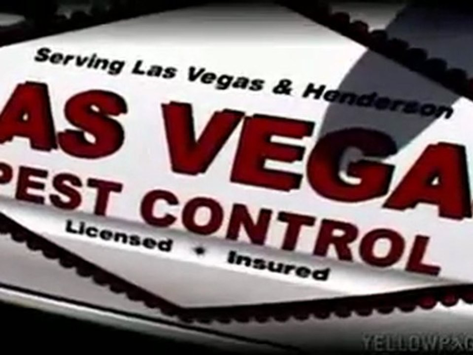 Pest Control Las Vegas Exterminator 702-369-2847
