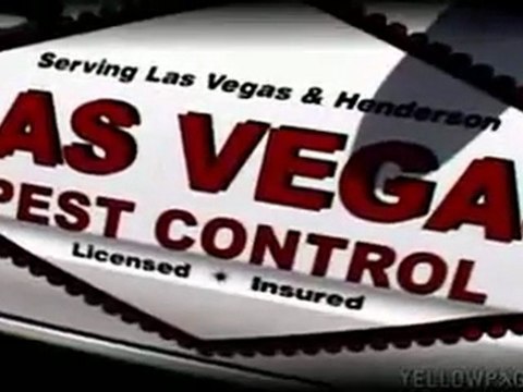 Pest Control Las Vegas Exterminator 702-369-2847