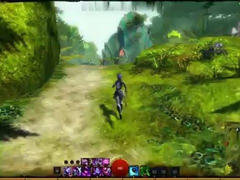 Guild Wars 2 Présentation Part 2/3: le PvE