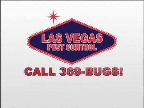 Pest Control Las Vegas - Las Vegas Pest Control