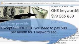 seo cost : search engine optimization pricing | www.rankingoogle.com