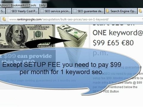 seo cost : search engine optimization pricing | rankingoogle.com
