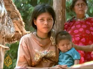 Bolivia's Morales suspends road project