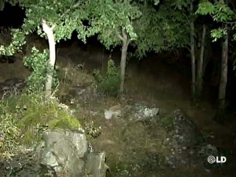 Hallan dos nuevos zulos de ETA en Francia, uno de ellos con 190 kilos de explosivo