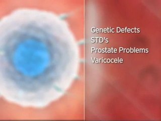 Infertility Treatment in Thailand - Thailand Surrogacy