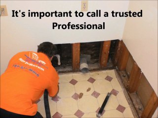 Water Damage Repair Tampa (813)666-0529