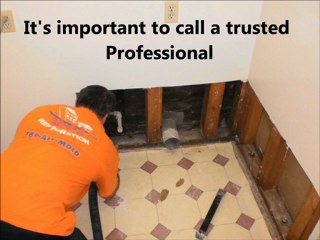 Water Damage Repair Orlando