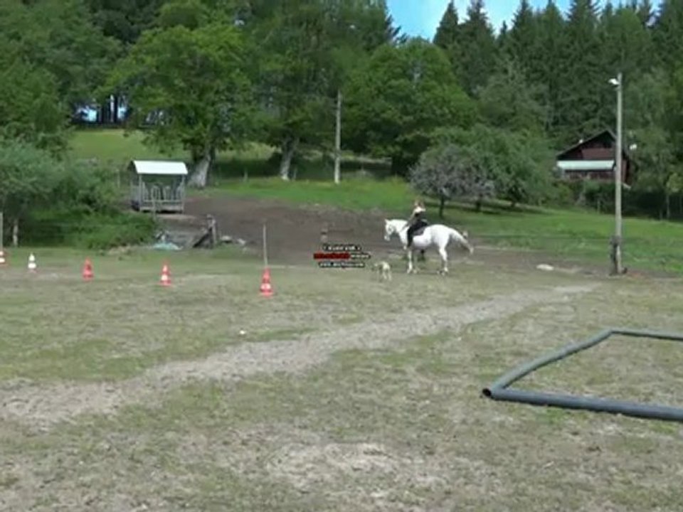 Puck mai 2012 2