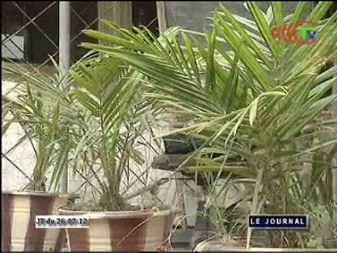 Réunion extraordinaire de la direction politique nationale de l’UPADS