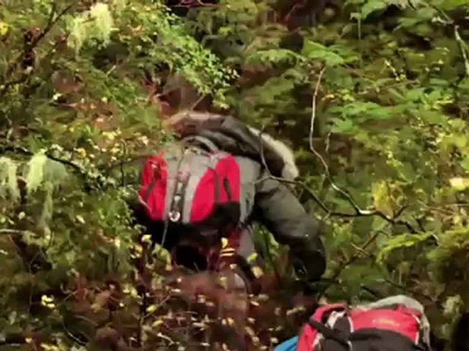 earthrise - Conserving Canada's Great Bear Rainforest